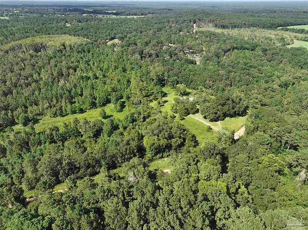 83.4 Acres of Land for Sale in Westville, Florida