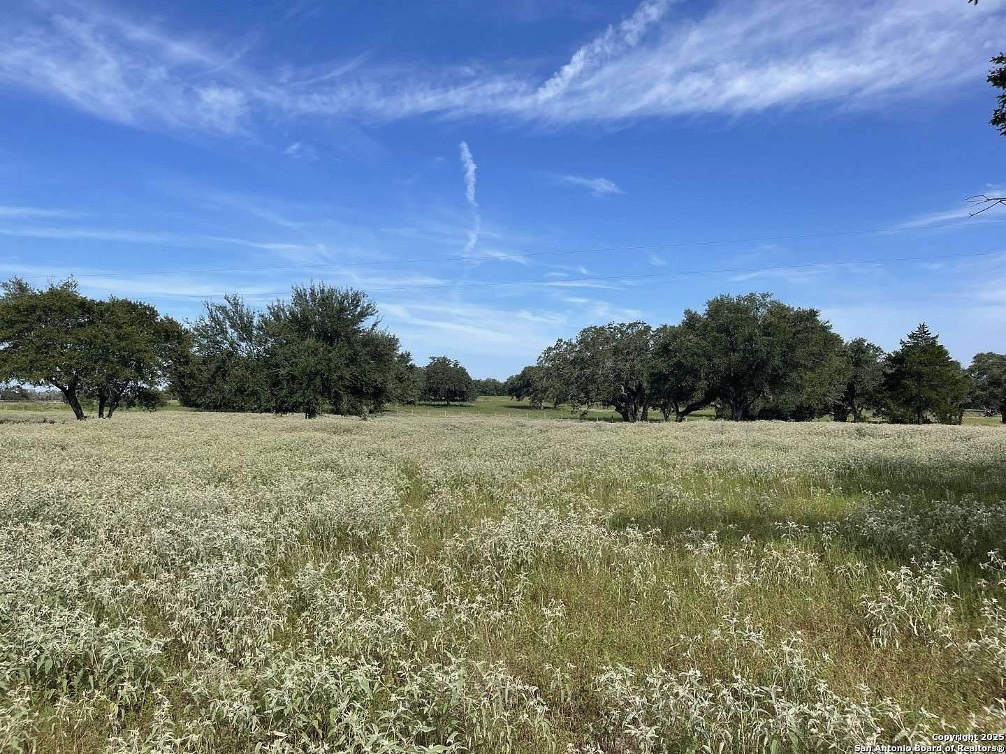 39.9 Acres of Land with Home for Sale in Gonzales, Texas