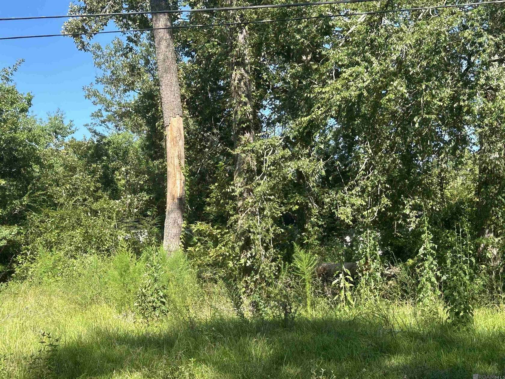 2.3 Acres of Residential Land for Sale in Prairieville, Louisiana