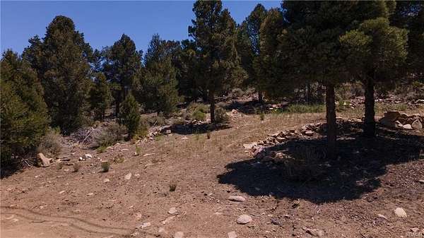 Land for Sale in Big Bear City, California