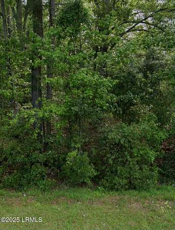 0.8 Acres of Residential Land for Sale in Seabrook, South Carolina