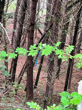 1.69 Acres of Residential Land for Sale in Decatur, Tennessee