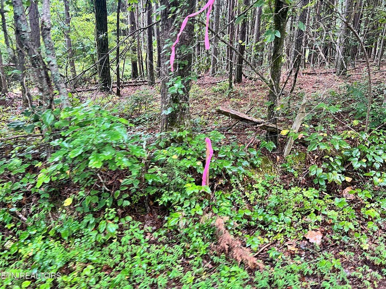 0.95 Acres of Residential Land for Sale in Decatur, Tennessee