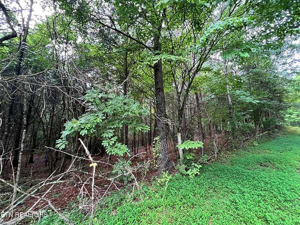 0.53 Acres of Residential Land for Sale in Decatur, Tennessee