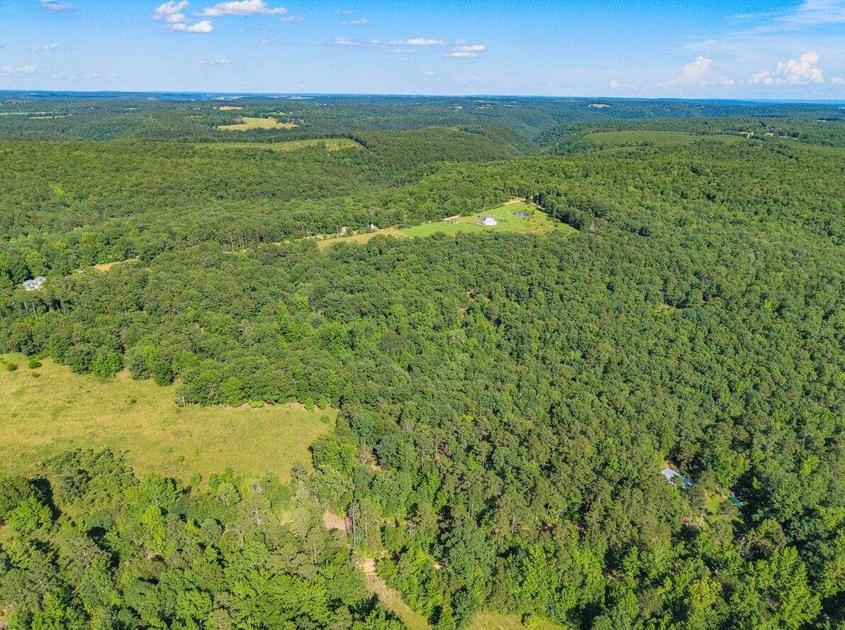 16.3 Acres of Recreational Land for Sale in Fox, Arkansas