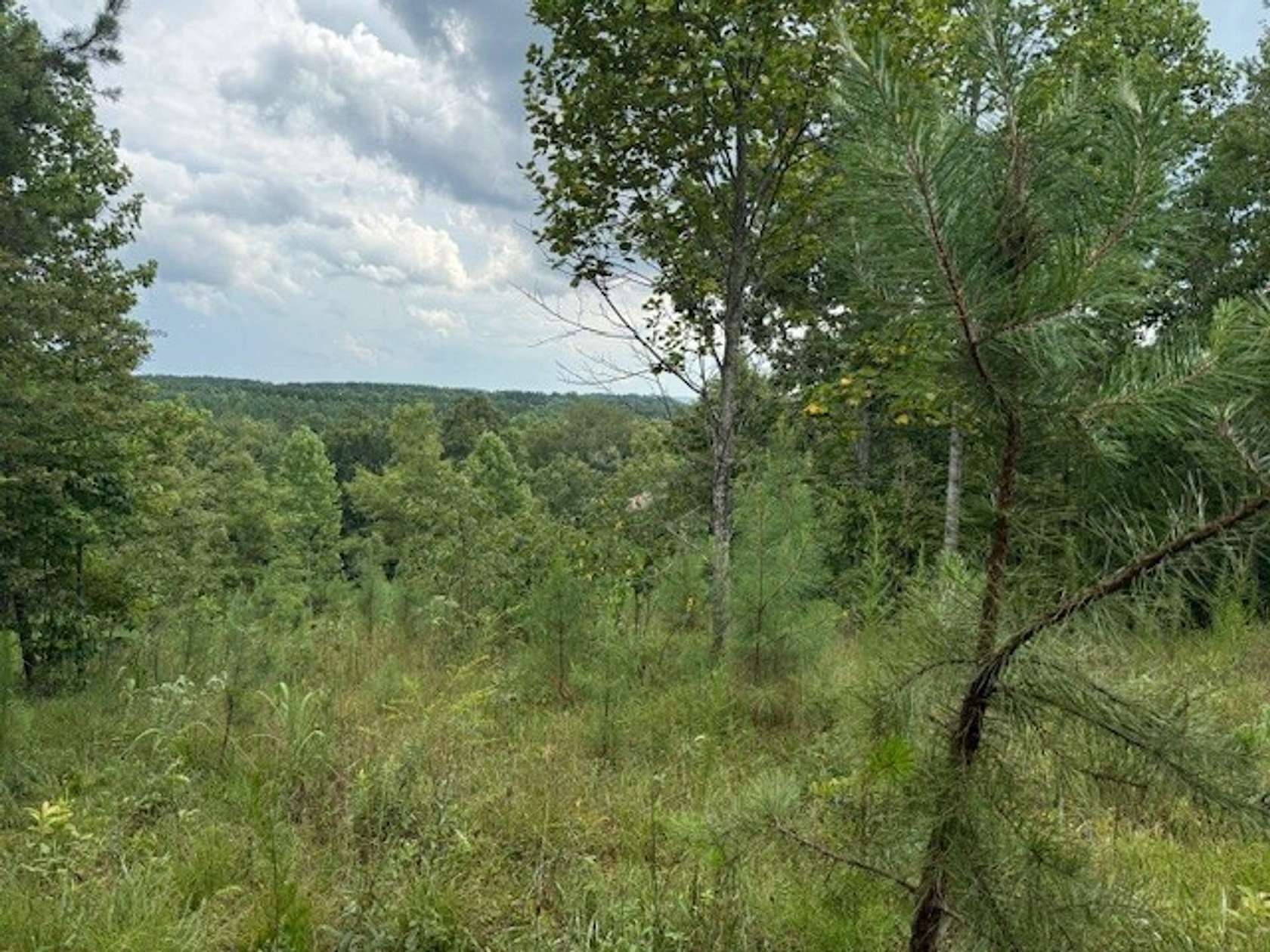 188 Acres of Recreational Land for Sale in South Pittsburg, Tennessee