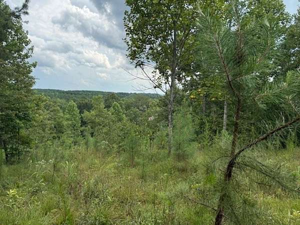 188 Acres of Recreational Land for Sale in South Pittsburg, Tennessee