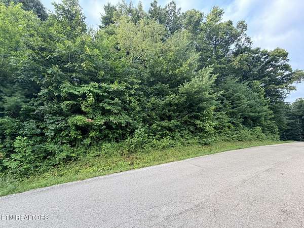 2.48 Acres of Residential Land for Sale in Oneida, Tennessee