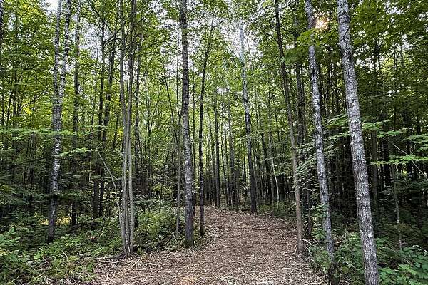 5.2 Acres of Land for Sale in Couderay, Wisconsin