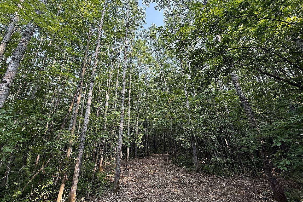 5 Acres of Land for Sale in Couderay, Wisconsin