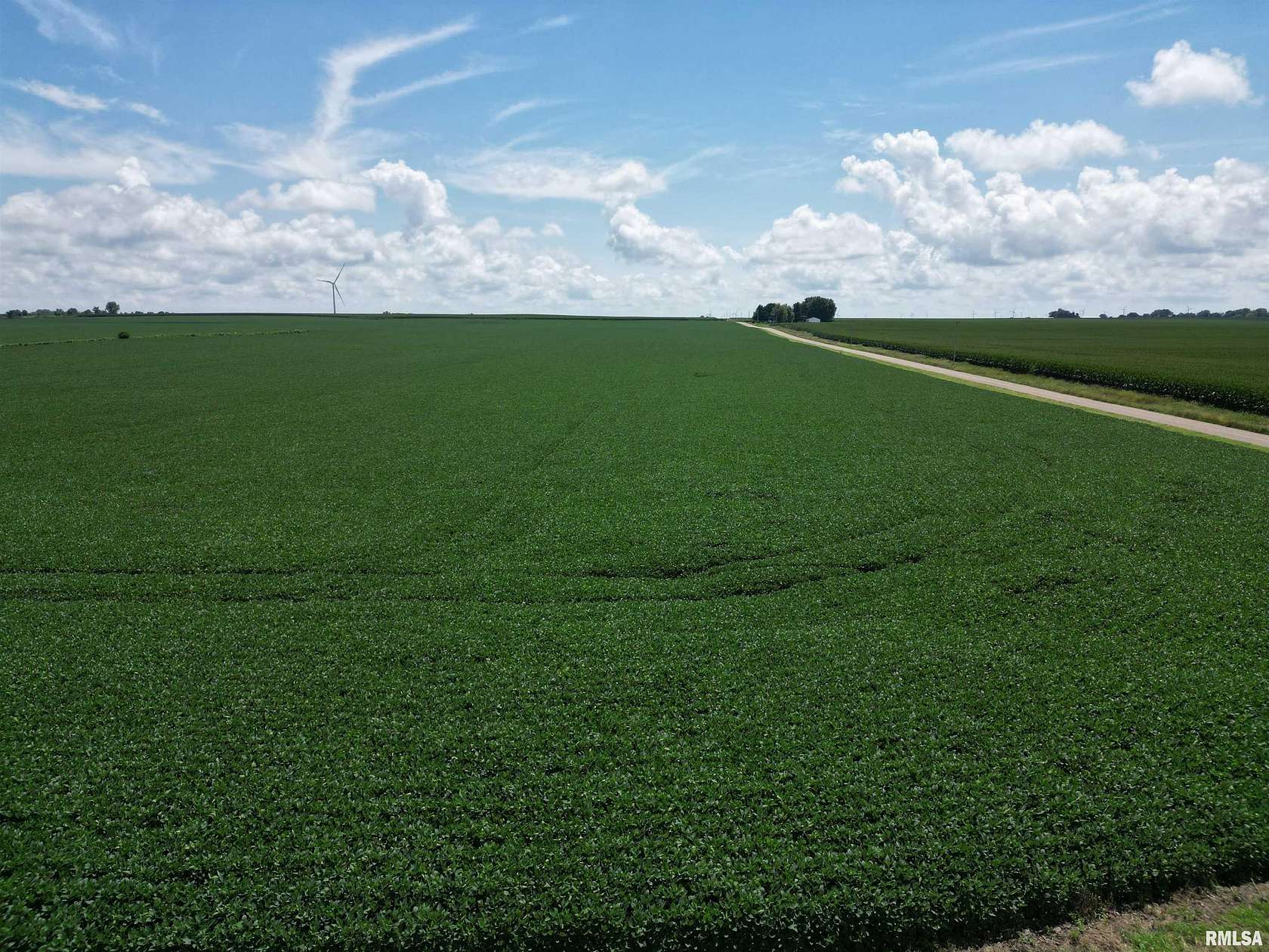 122 Acres of Agricultural Land for Sale in Bradford, Illinois