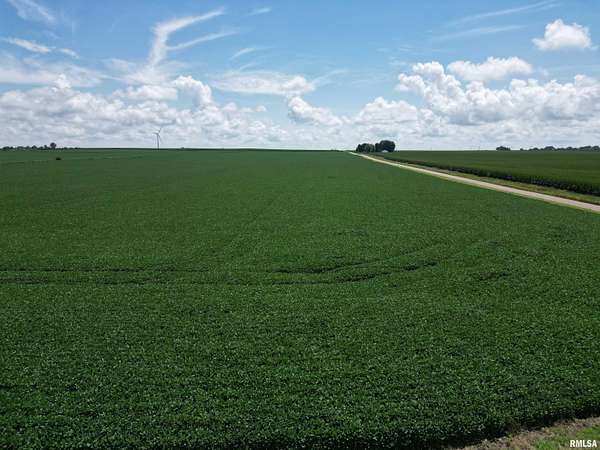122 Acres of Agricultural Land for Sale in Bradford, Illinois