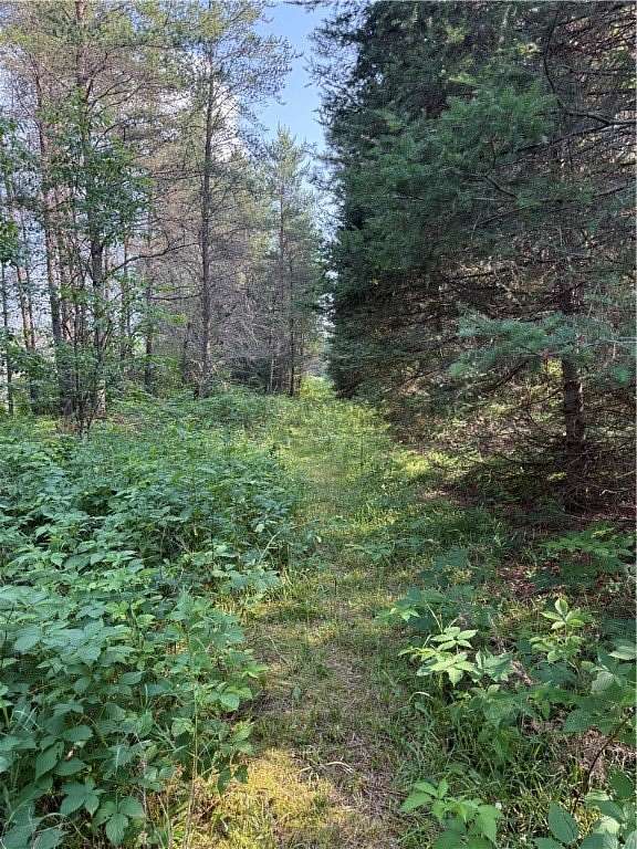 5.72 Acres of Land for Sale in Hayward, Wisconsin