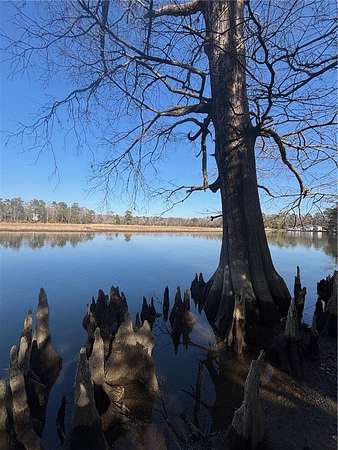 2.9 Acres of Land for Sale in Village of Williamsburg, Virginia