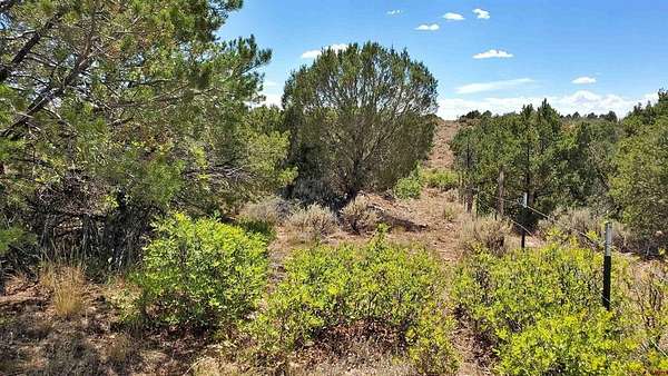 40 Acres of Recreational Land for Sale in Yellow Jacket, Colorado
