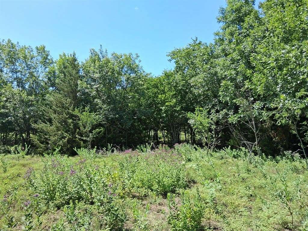 2.29 Acres of Land for Sale in Palmer, Texas