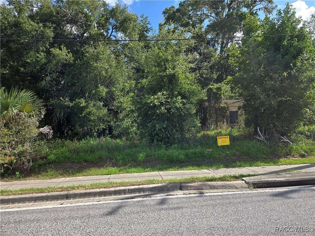 2 Acres of Land for Sale in Hernando, Florida