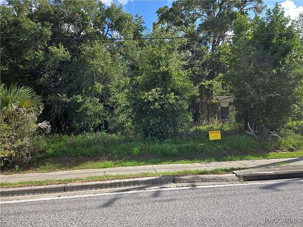 2 Acres of Land for Sale in Hernando, Florida