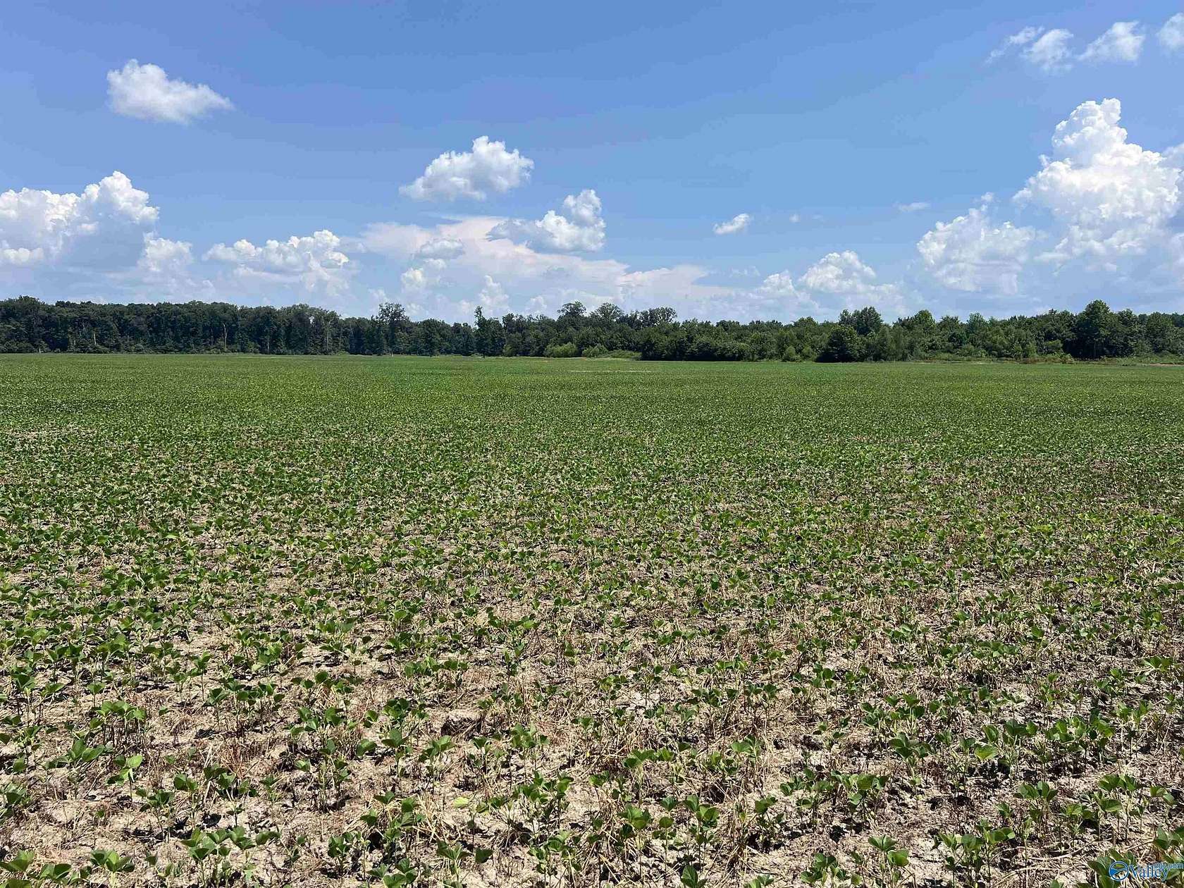 90 Acres of Recreational Land & Farm for Sale in Moulton, Alabama