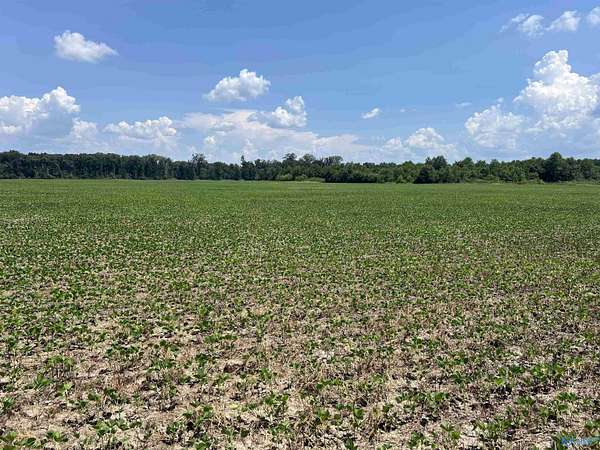 90 Acres of Recreational Land & Farm for Sale in Moulton, Alabama