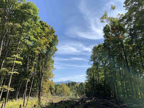 5.59 Acres of Residential Land for Sale in East Montpelier, Vermont