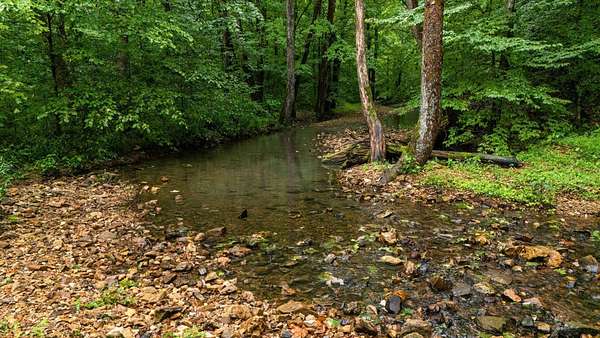 8 Acres of Residential Land for Sale in Dickson, Tennessee