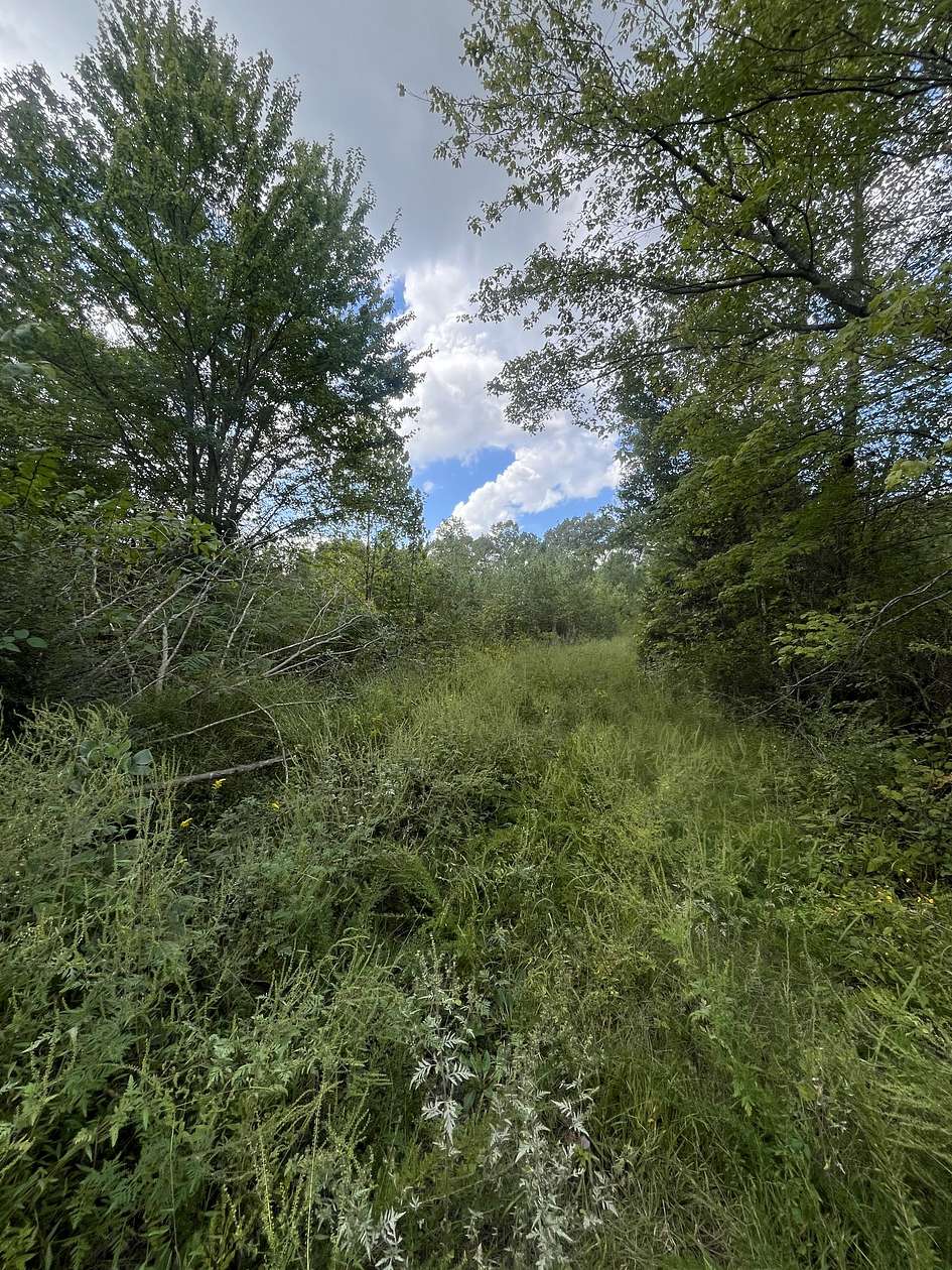 4.63 Acres of Land for Sale in Bon Aqua, Tennessee