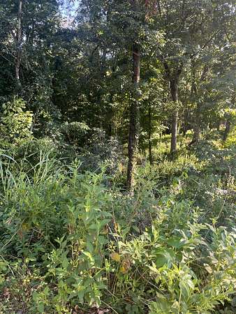 1.28 Acres of Residential Land for Sale in Lebanon, Tennessee