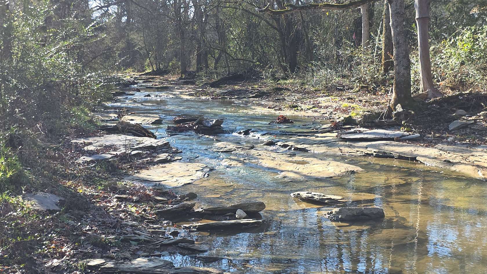 2.25 Acres of Residential Land with Home for Sale in Hampshire, Tennessee