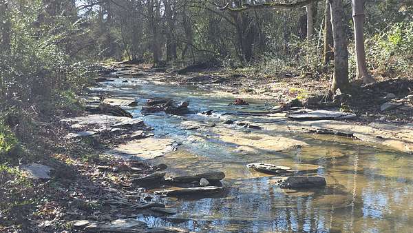 2.25 Acres of Residential Land with Home for Sale in Hampshire, Tennessee