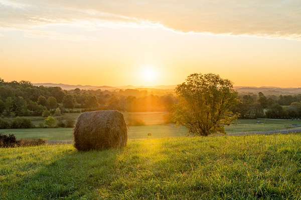 7.29 Acres of Residential Land for Sale in Franklin, Tennessee