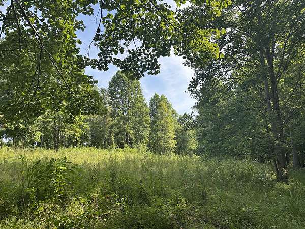 19.9 Acres of Land for Sale in Portland, Tennessee