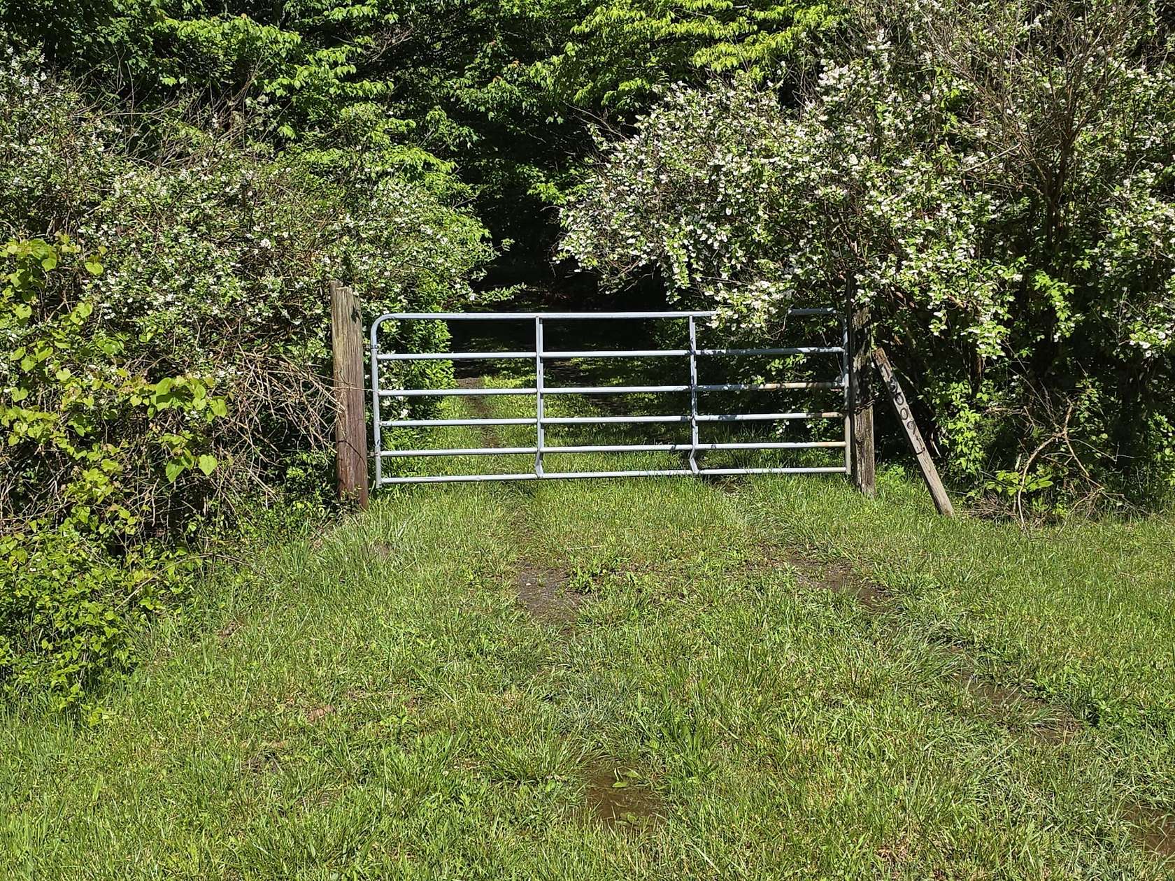 16.9 Acres of Land for Sale in Rising Fawn, Georgia