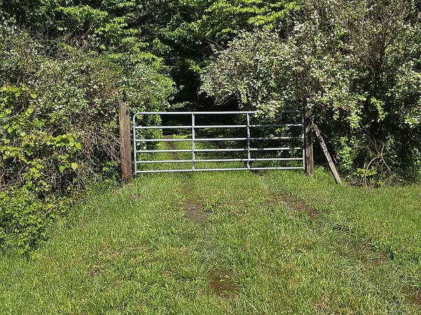 16.9 Acres of Land for Sale in Rising Fawn, Georgia