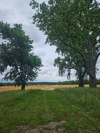 8.18 Acres of Residential Land for Sale in Morrison, Tennessee