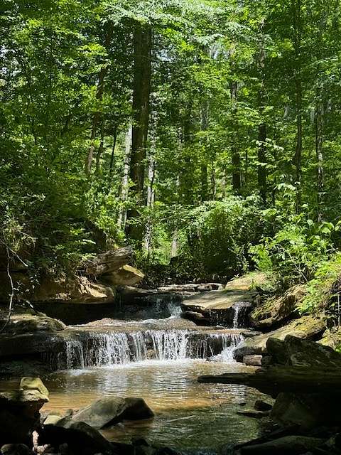 363 Acres of Recreational Land & Farm for Sale in Monterey, Tennessee