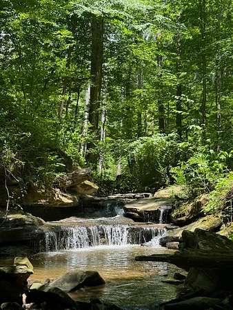 363 Acres of Recreational Land & Farm for Sale in Monterey, Tennessee