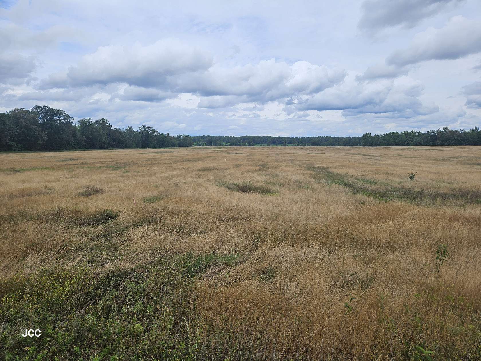 9 Acres of Residential Land for Sale in Morrison, Tennessee