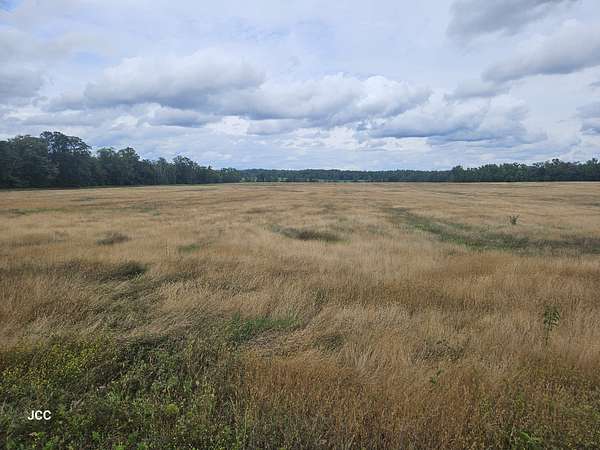 9 Acres of Residential Land for Sale in Morrison, Tennessee