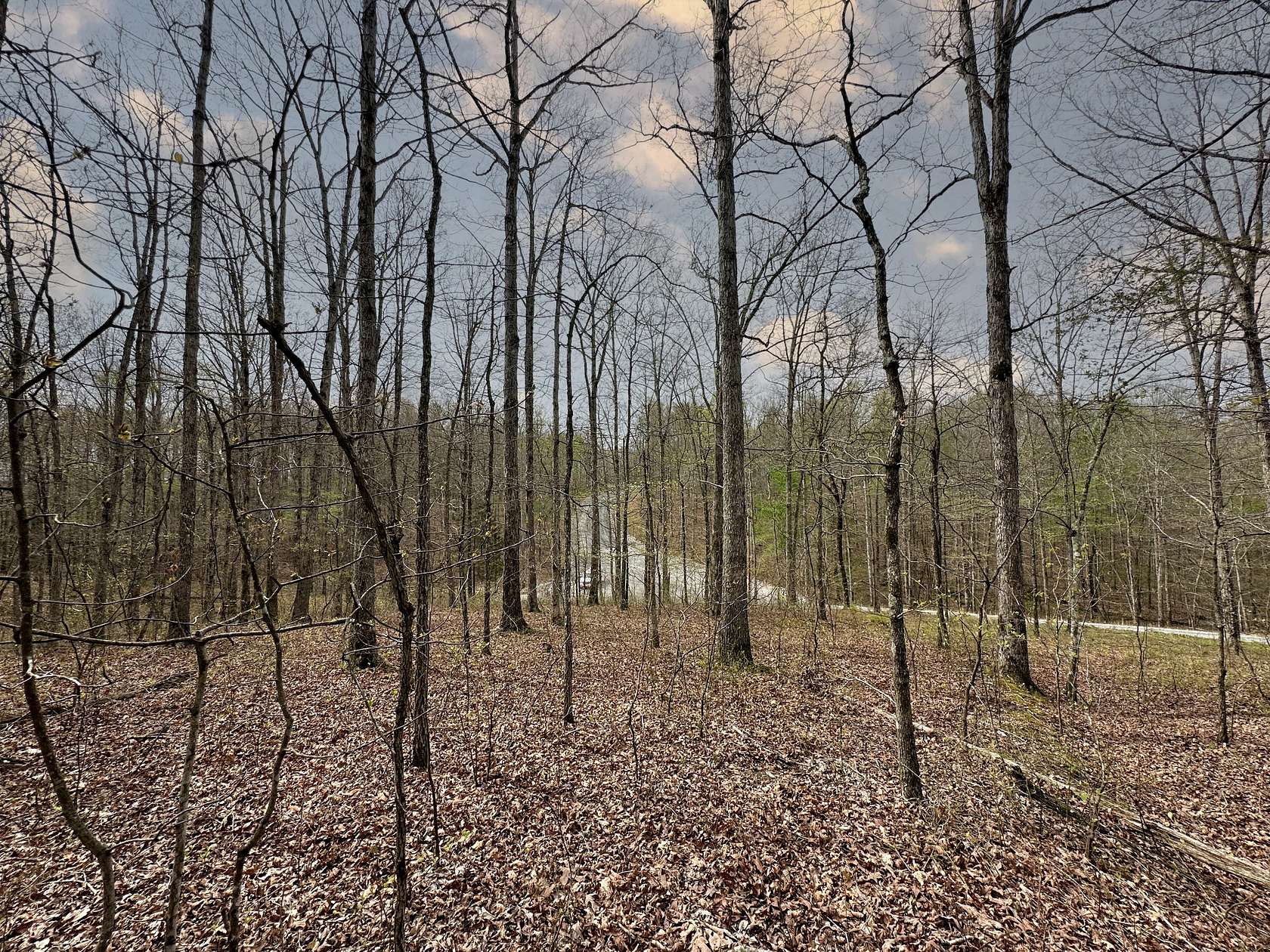 4 Acres of Residential Land for Sale in McEwen, Tennessee