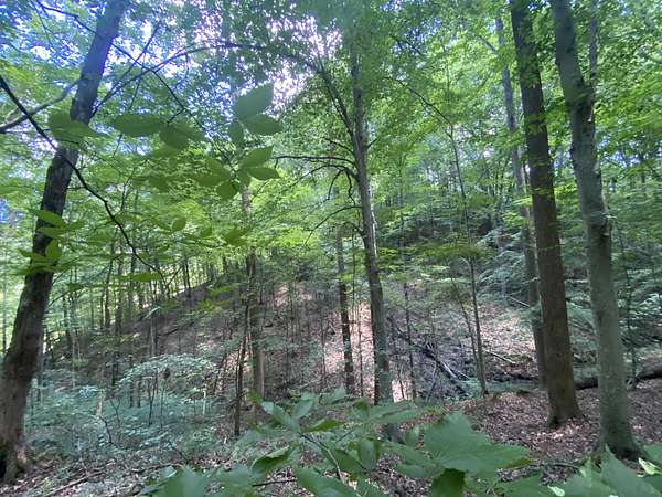 4.43 Acres of Residential Land for Sale in Joelton, Tennessee