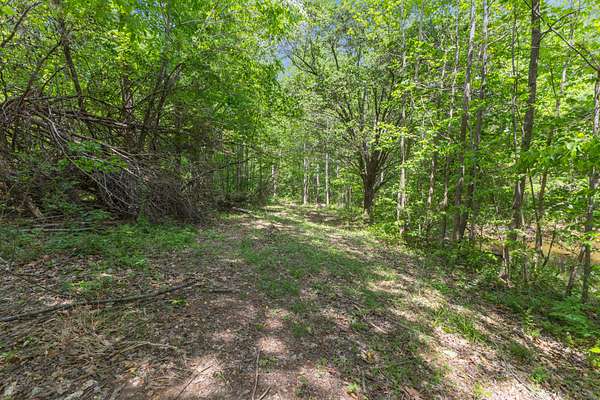 5.24 Acres of Residential Land for Sale in Chapmansboro, Tennessee