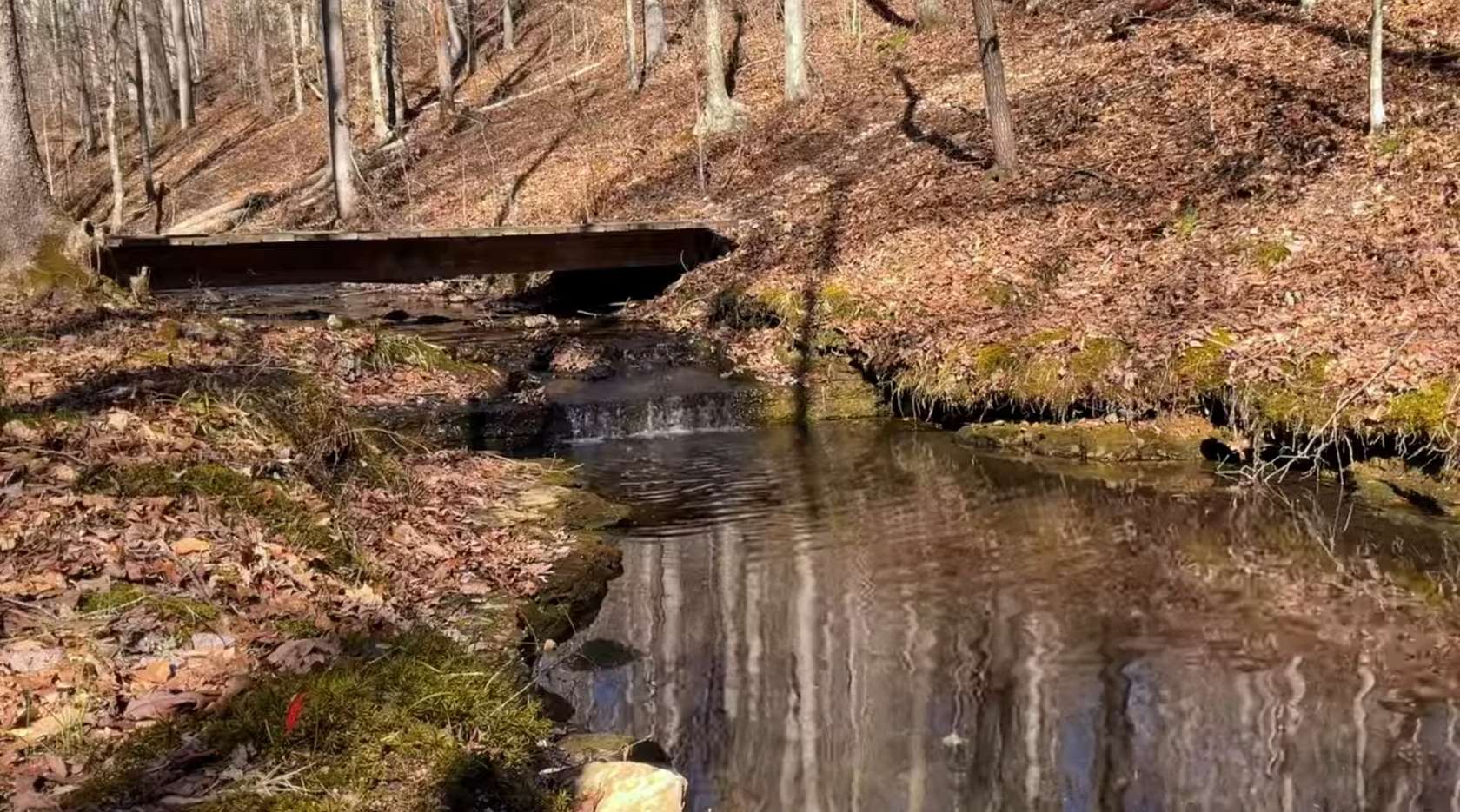 25.2 Acres of Recreational Land & Farm for Sale in Primm Springs, Tennessee