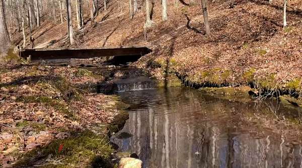 25.2 Acres of Recreational Land & Farm for Sale in Primm Springs, Tennessee