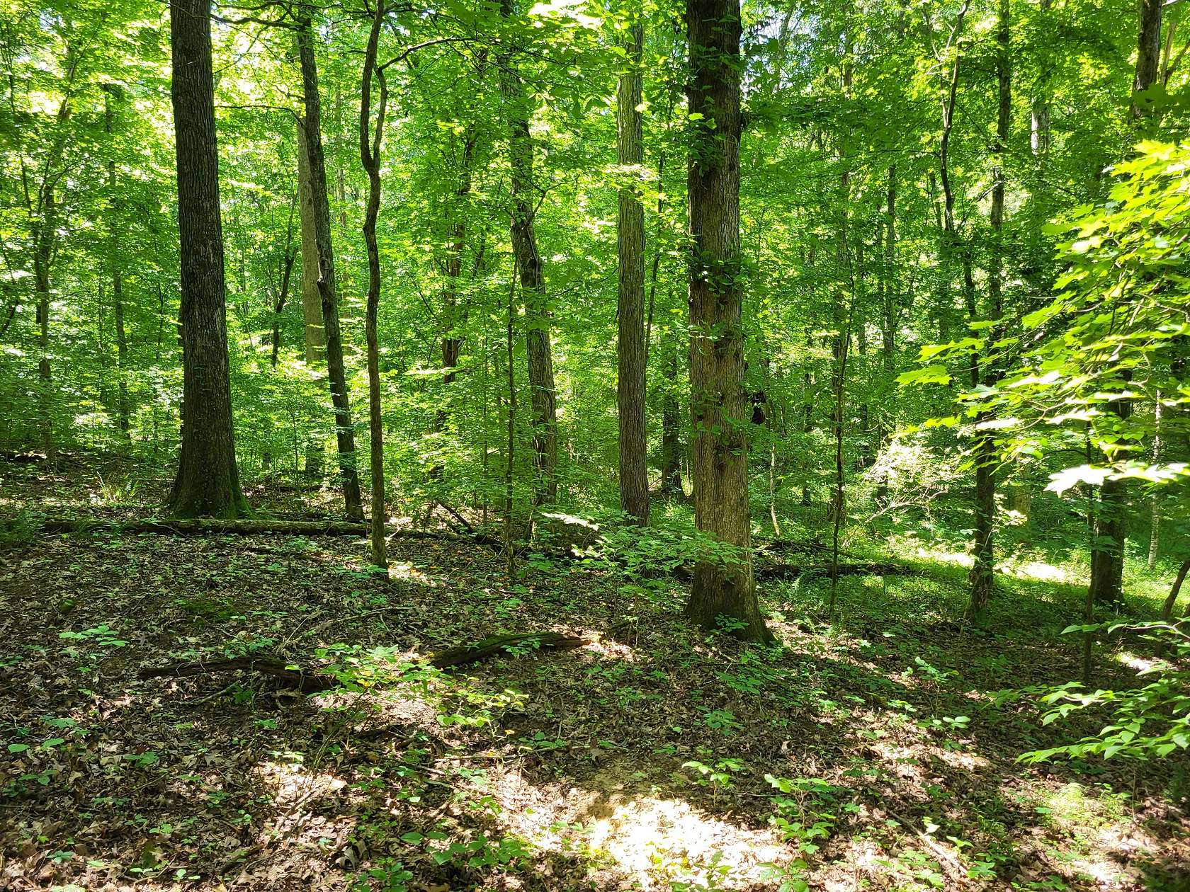 7.6 Acres of Residential Land for Sale in Dover, Tennessee