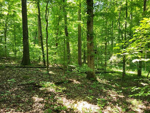 7.6 Acres of Residential Land for Sale in Dover, Tennessee