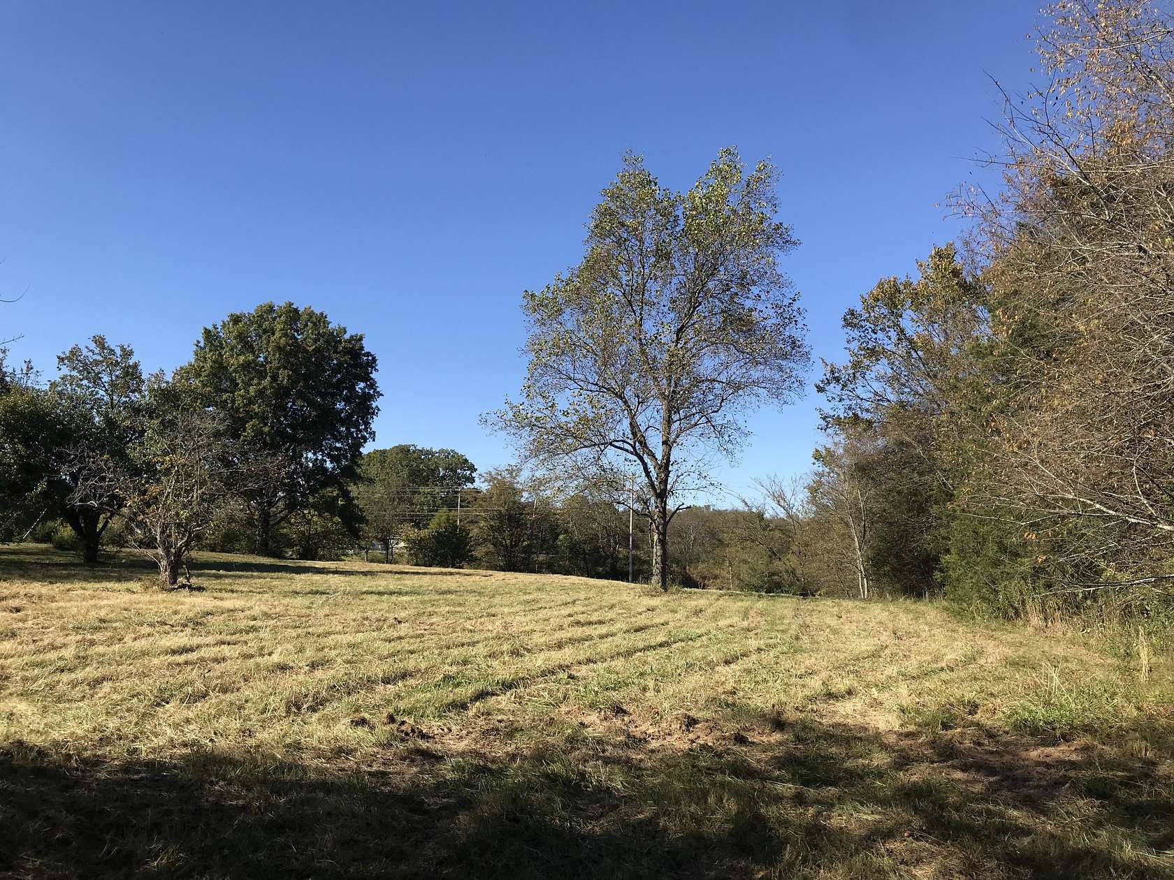 5.23 Acres of Residential Land for Sale in Castalian Springs, Tennessee