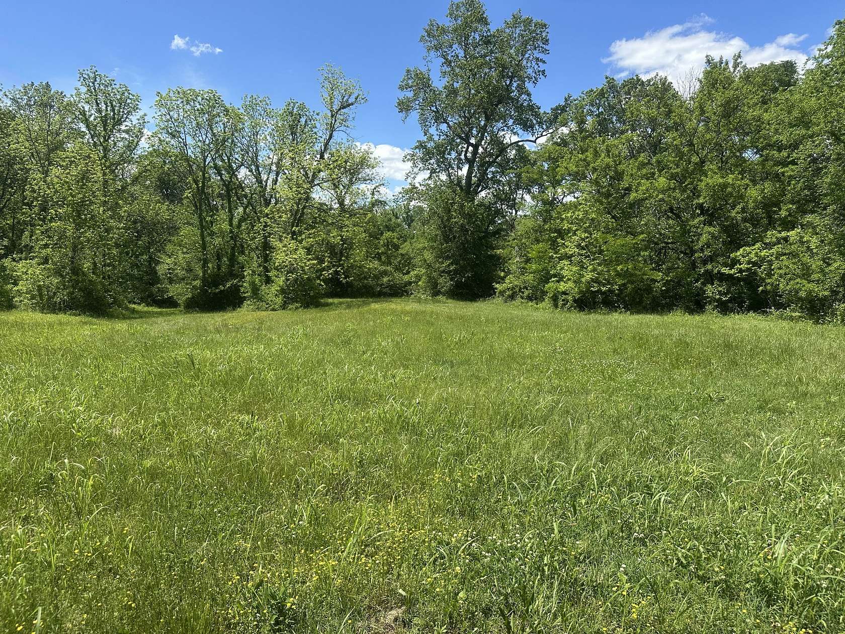 10 Acres of Residential Land for Sale in Spring Hill, Tennessee