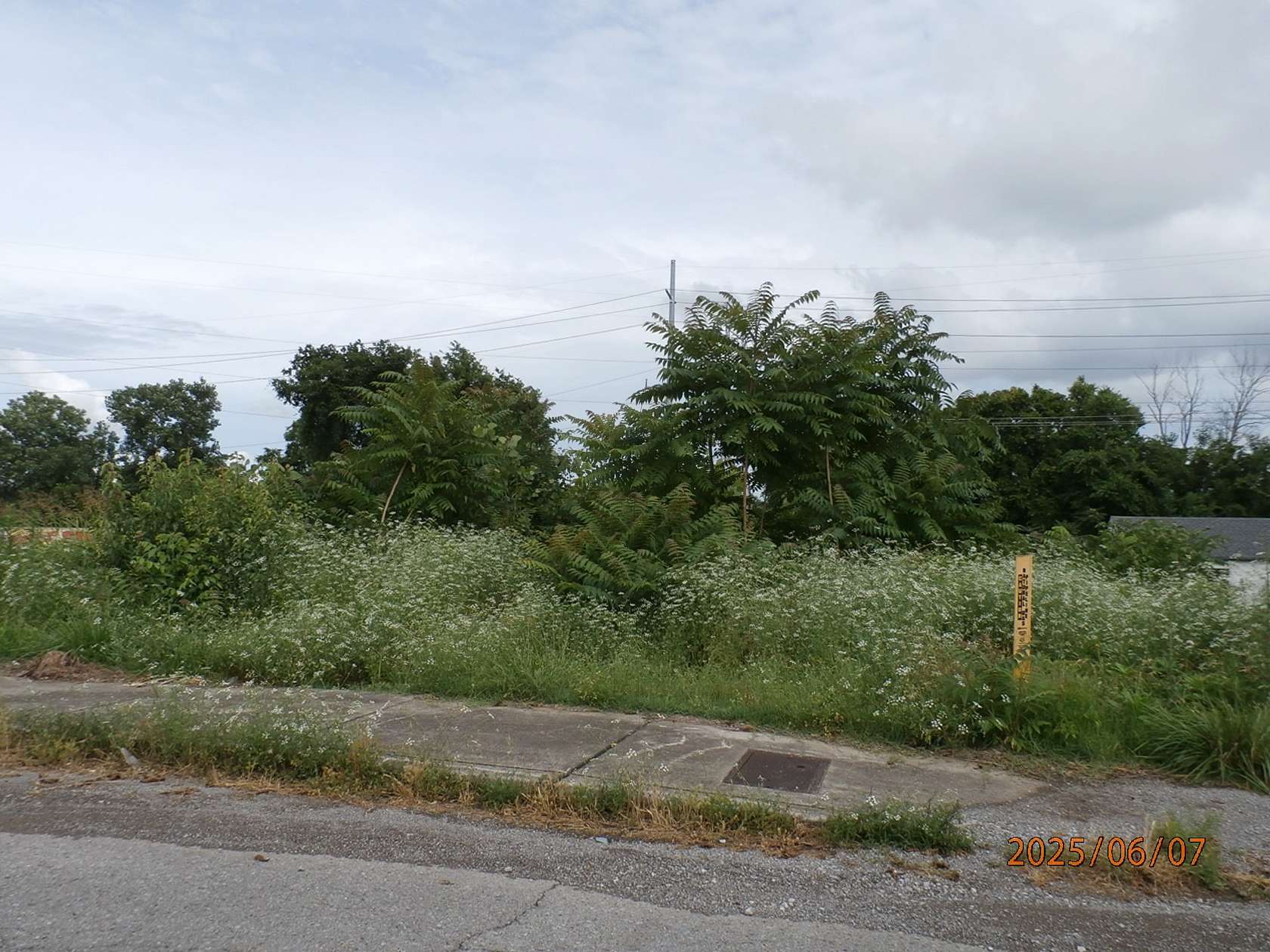 0.01 Acres of Residential Land for Sale in Nashville, Tennessee