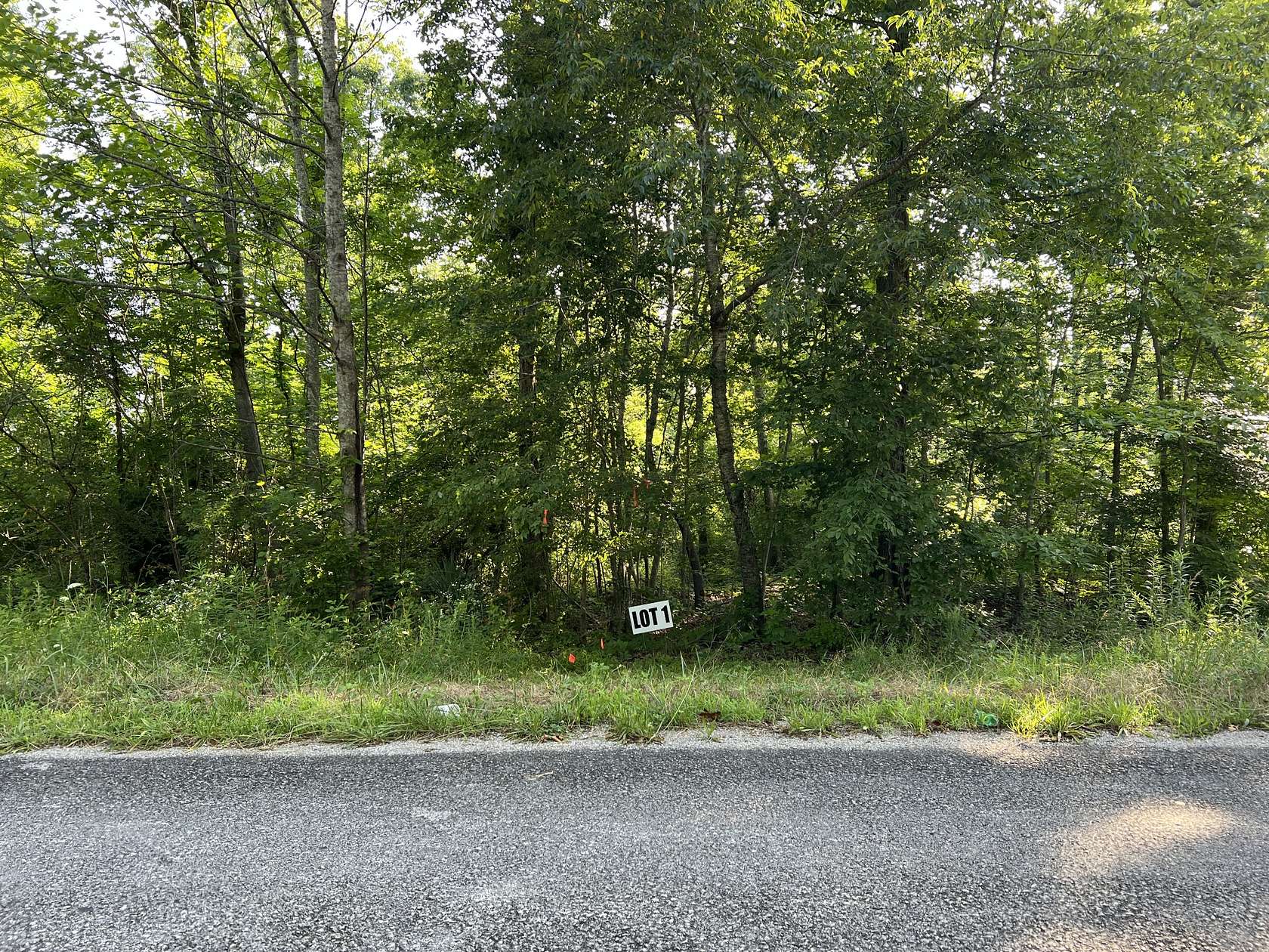 13.7 Acres of Land for Sale in Primm Springs, Tennessee